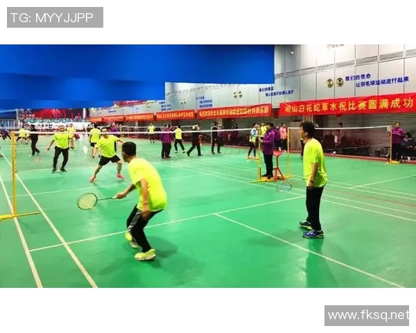 杭州羽毛球队的成功之道与运营模式深度解析